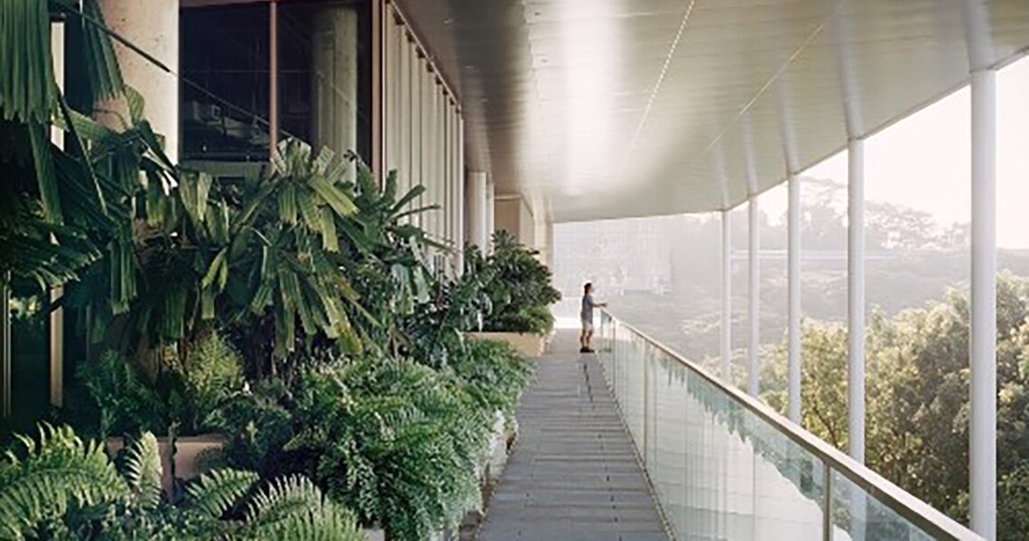 Long shot of a green office corridor with a person enjoying the view
