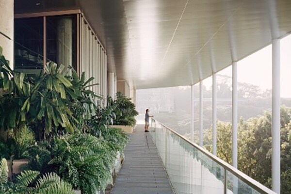 Long shot of a green office corridor with a person enjoying the view