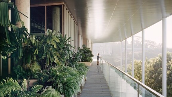 Long shot of a green office corridor with a person enjoying the view