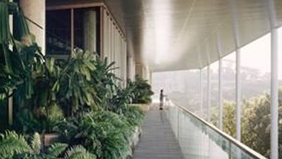 Long shot view of a corridor with green plants
