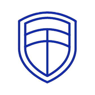 Icon of a shield in blue