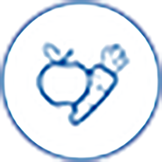 Icon of food beverage fruits and vegetables