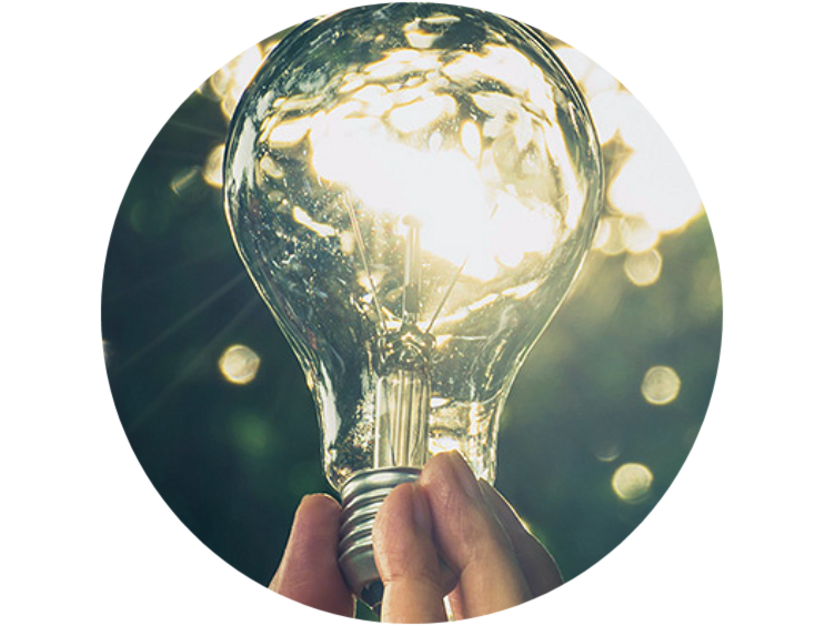 Close up of a bulb held towards the sunlight