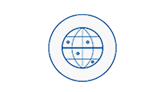 Icon of a globe enclosed within a circle