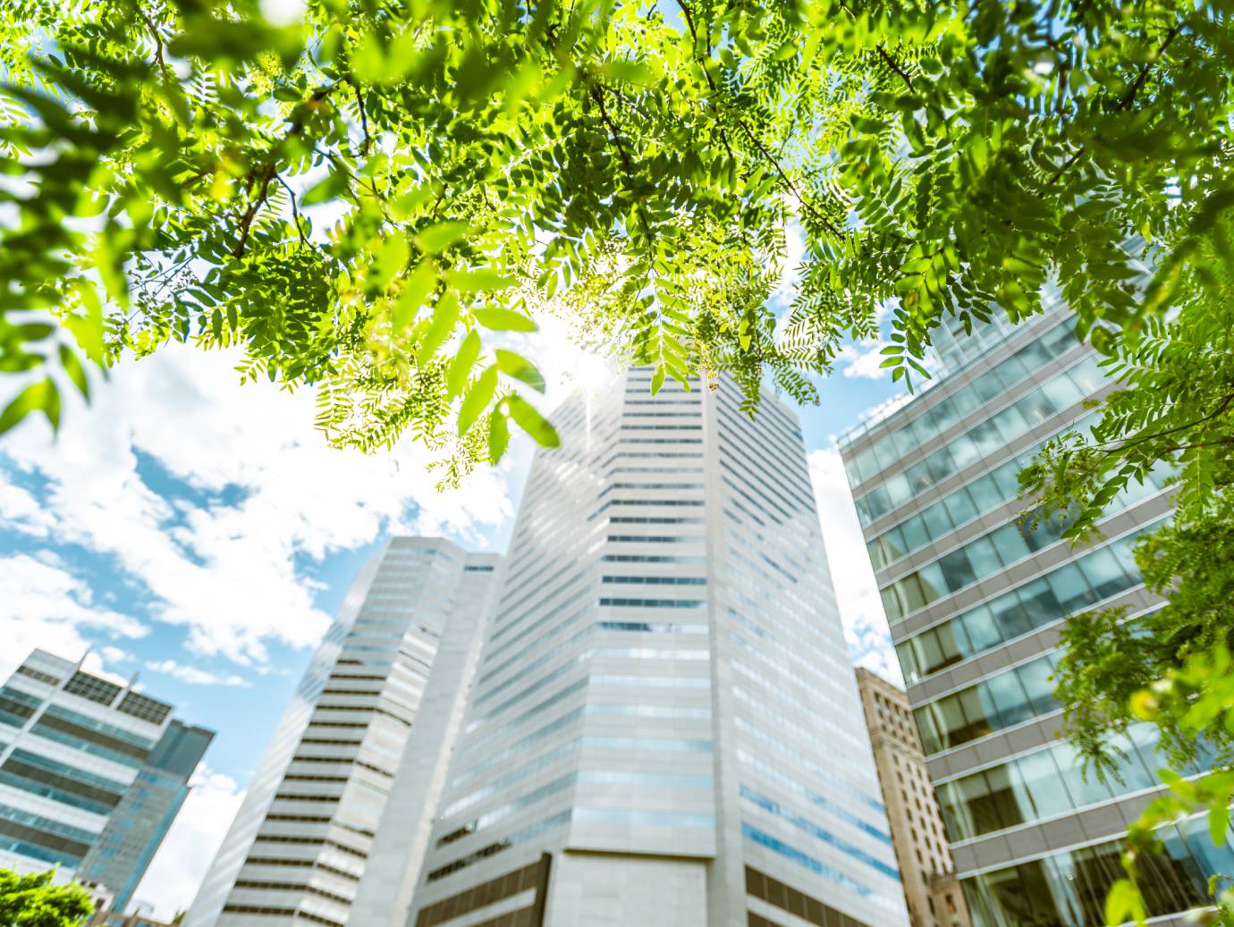 Green Healthy Buildings