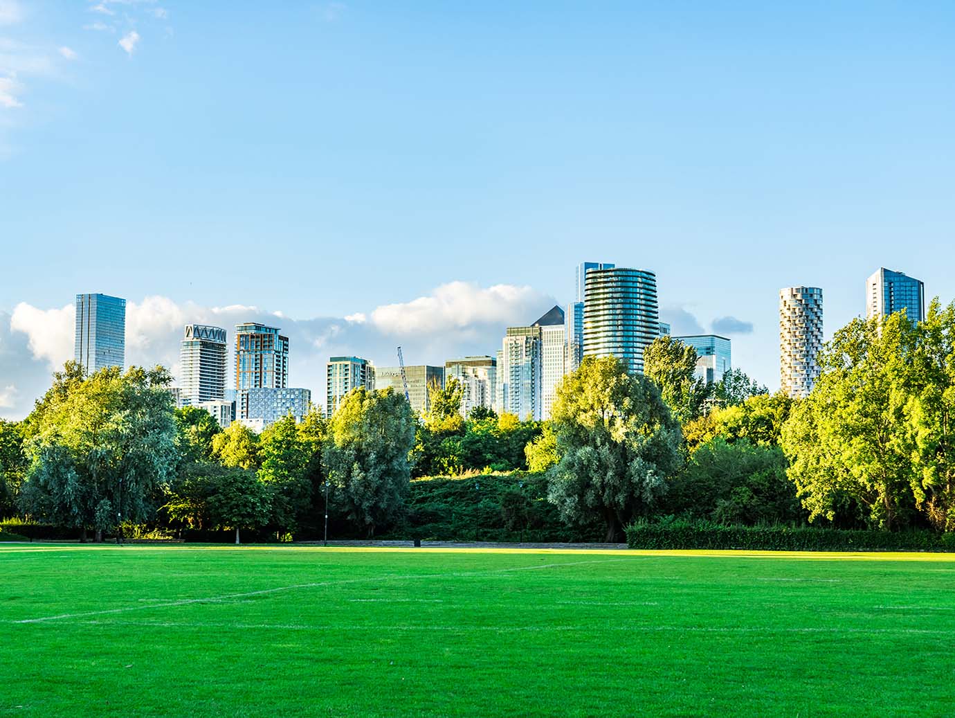 Cityscape behind lush trees