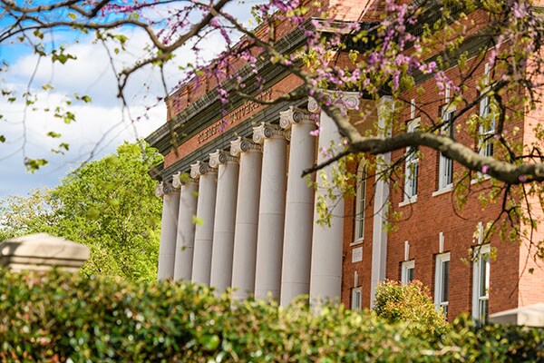 Exterior of a red-brick building, with flowering trees in the foreground 